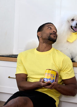 How to Maintain a Healthy Skin and Coat for Senior Dogs