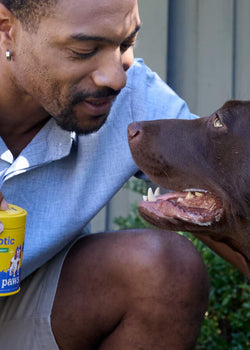 Signs Your Dog Might Need a Probiotic Supplement  ()