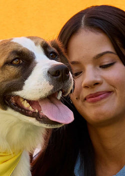 Bad Breath in Dogs Common Causes and Effective Remedies