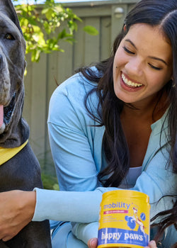 Joint Pain in Dogs