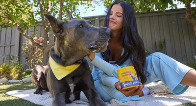 What Are Dog Supplements for Arthritis?