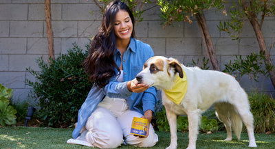 Meet Happy Paws: The Latest, Greatest Dog Supplement Brand!