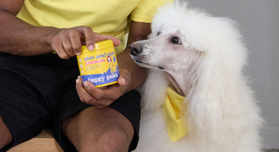 Keep Your Doggo's Sheen With Dog Supplements for Skin & Coat