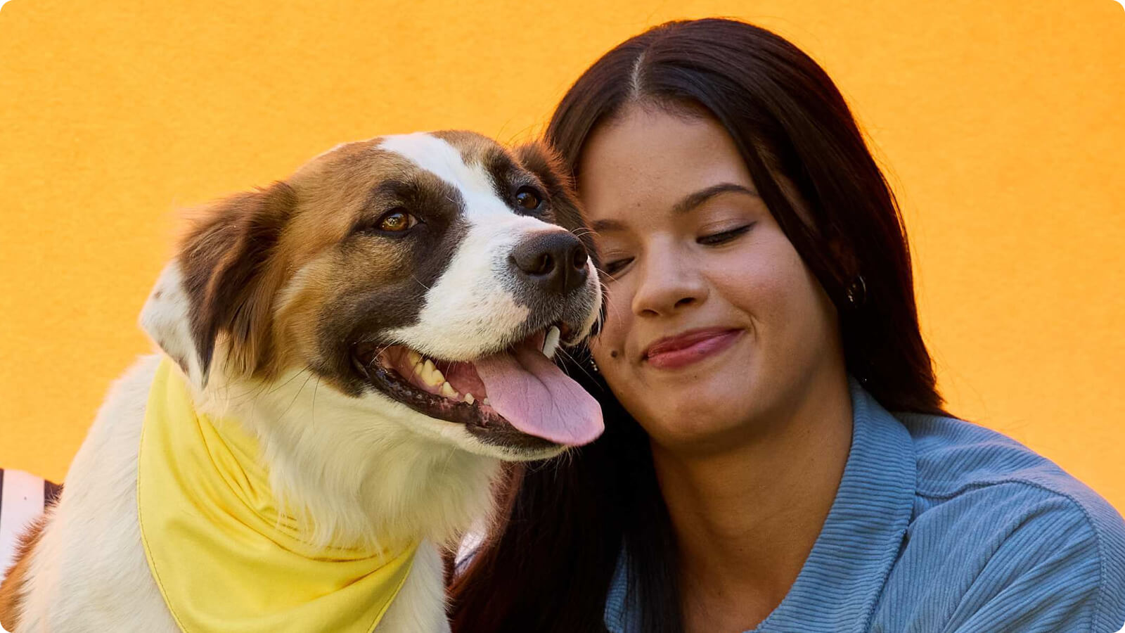 Bad Breath in Dogs Common Causes and Effective Remedies