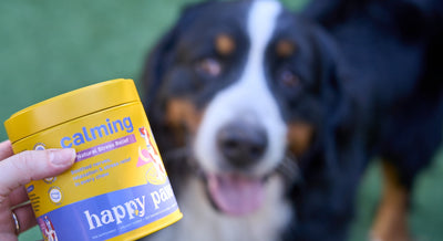 Keep ’em Calm ’n' Cool With Calming Supplements for Dogs