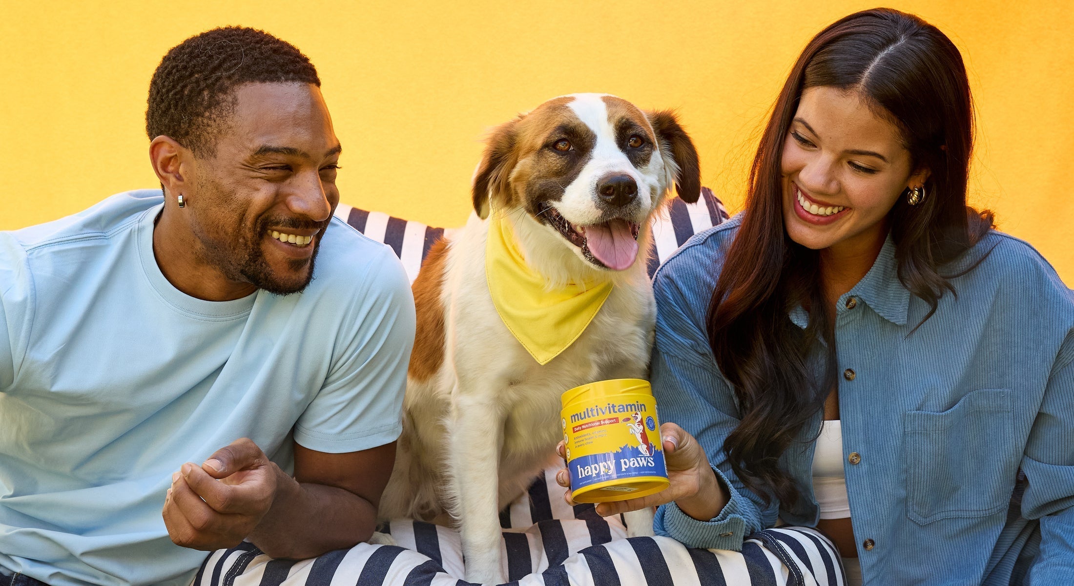 Dog Supplements 101: Key Ingredients in a Dog Multivitamin Supplement