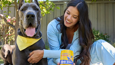 Joint Pain in Dogs: 5 Early Signs of Joint Problems