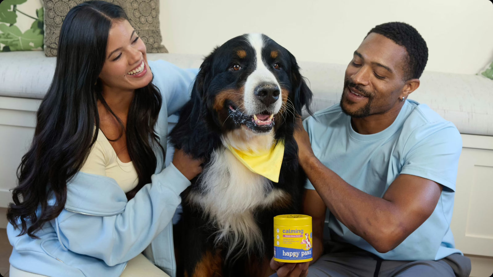 Natural Remedies for Dog Anxiety