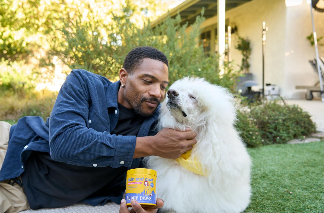 Blog image Why is my dog shedding so much