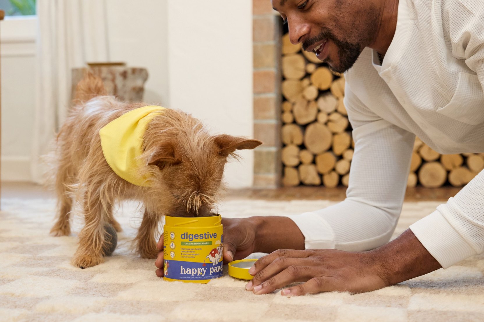 Digestive Enzymes for Dogs blog header