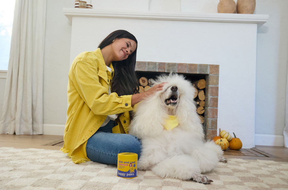 Hot Spots on Dogs blog header