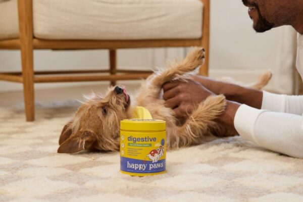 How to Add Fiber to a Dog’s Diet