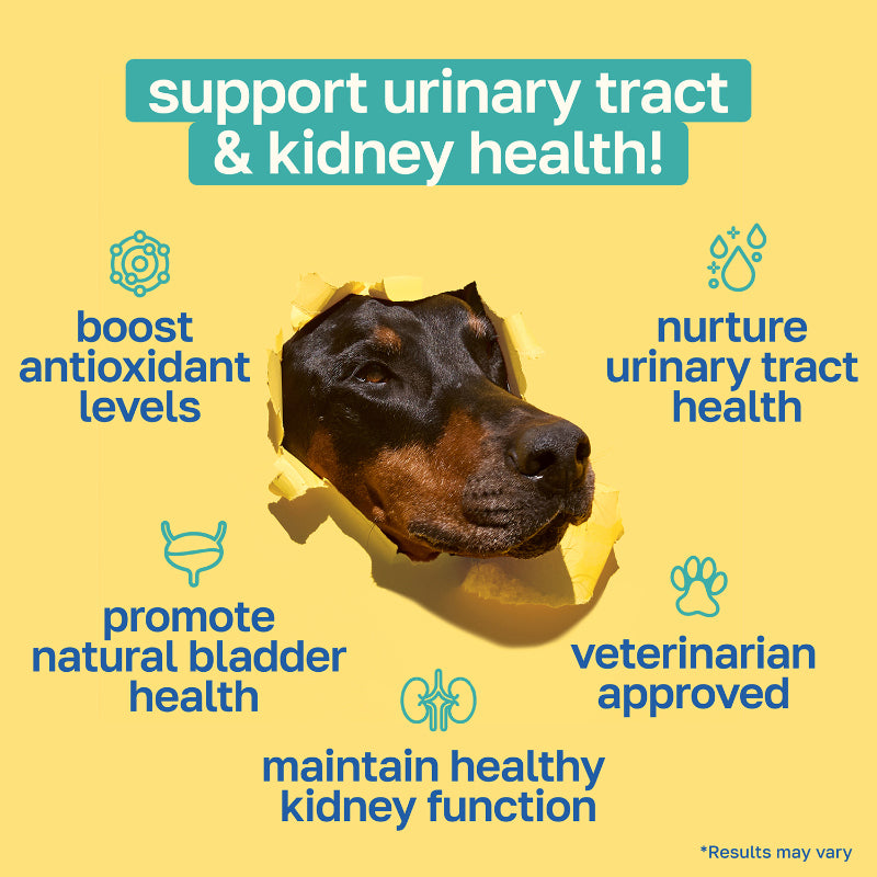 Bladder Supplement for Dogs | With Cranberry
