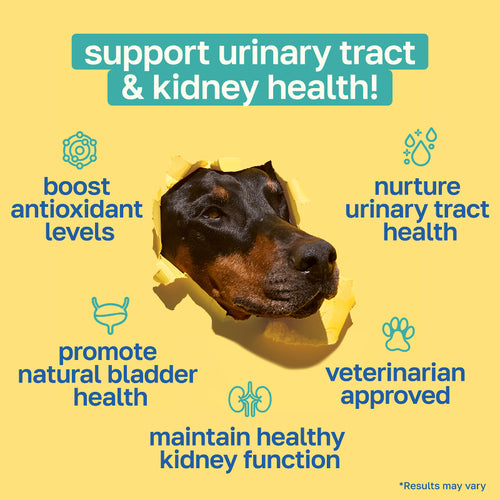 Bladder Supplement for Dogs | With Cranberry