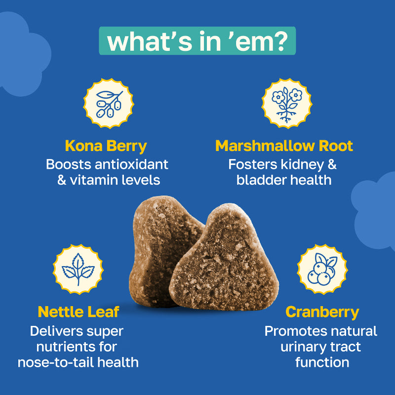 Bladder Supplement for Dogs | With Cranberry