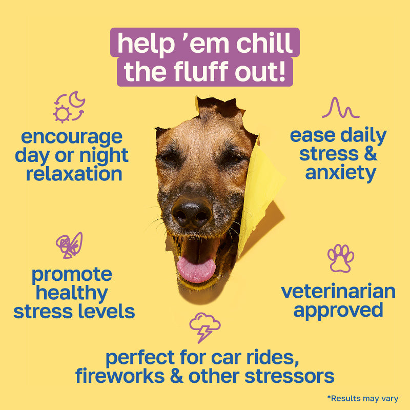 Calming Supplement for Dogs | With Chamomile and Theanine