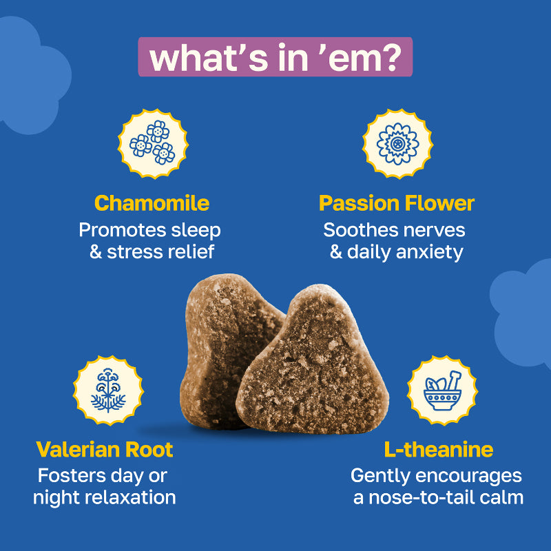 Calming Supplement for Dogs | With Chamomile and Theanine