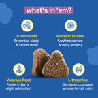 Calming Supplement for Dogs | With Chamomile and Theanine