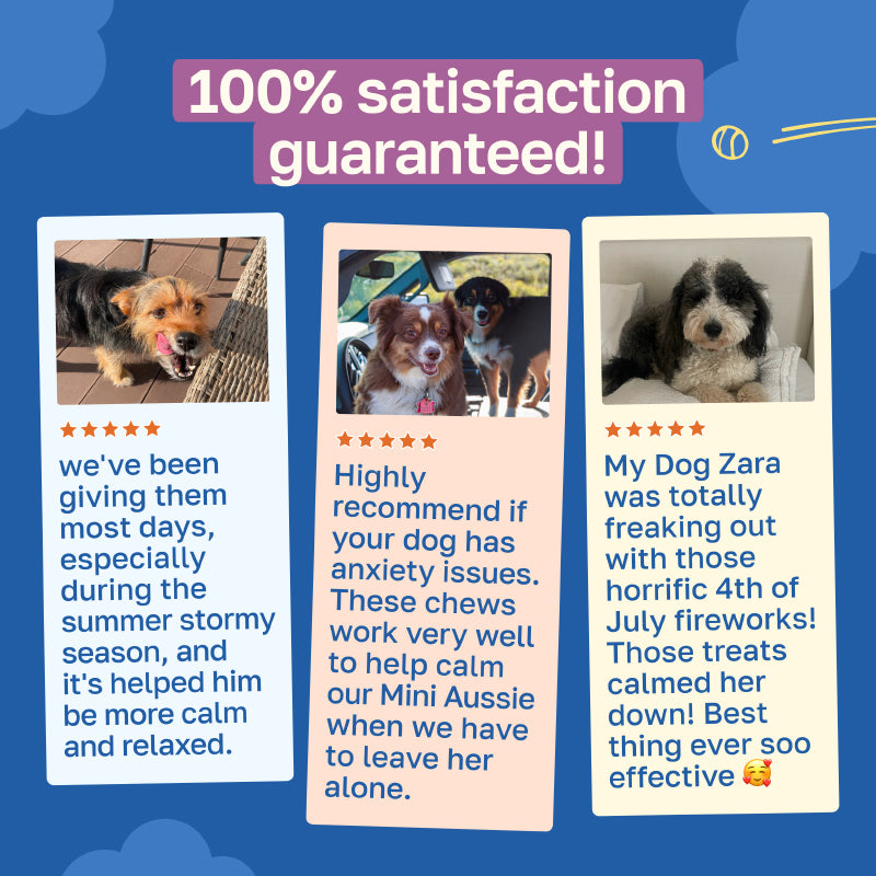 Calming Supplement for Dogs | With Chamomile and Theanine