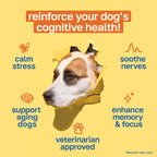 Cognitive Supplement for Dogs | With Vitamin B and Taurine