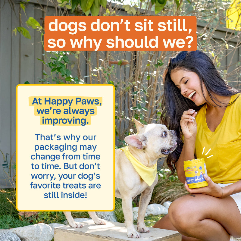 Cognitive Supplement for Dogs | With Vitamin B and Taurine