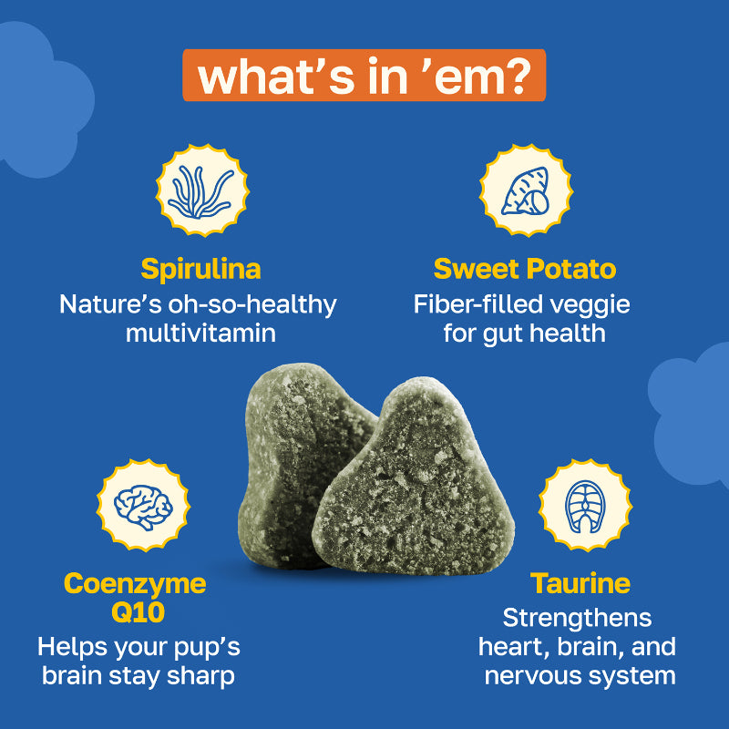 Cognitive Supplement for Dogs | With Vitamin B and Taurine