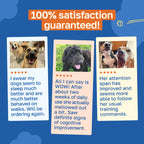 Cognitive Supplement for Dogs | With Vitamin B and Taurine