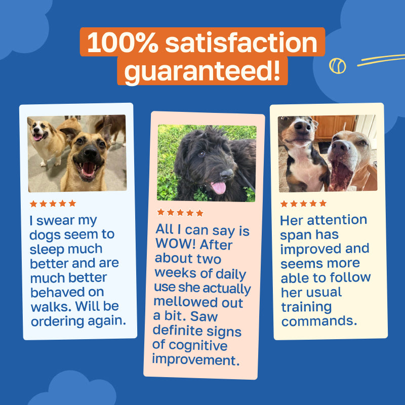 Cognitive Supplement for Dogs | With Vitamin B and Taurine