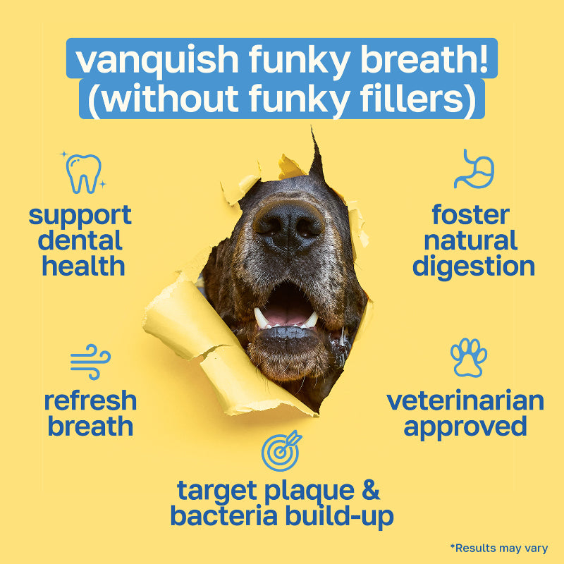 Dental Supplement for Dogs | Oral Care and Hygiene