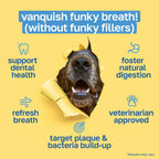 Dental Supplement for Dogs | Oral Care and Hygiene