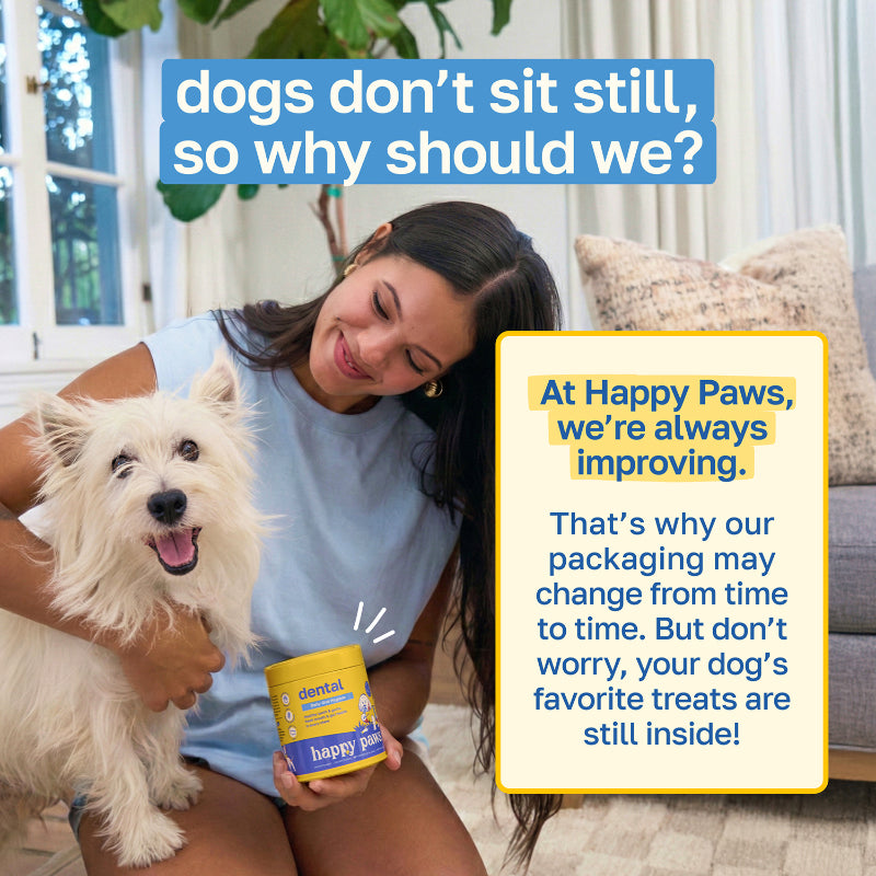 Dental Supplement for Dogs | Oral Care and Hygiene