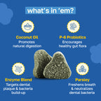 Dental Supplement for Dogs | Oral Care and Hygiene