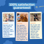 Dental Supplement for Dogs | Oral Care and Hygiene