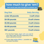 Dental Supplement for Dogs | Oral Care and Hygiene