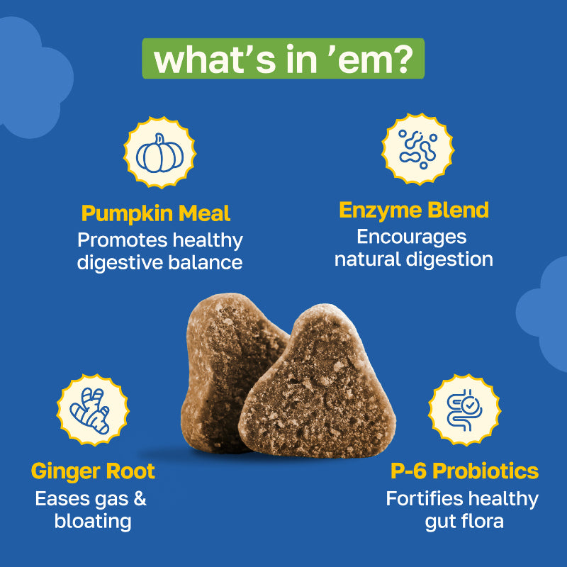 Buy Digestive & Gut Health Dog Supplement | With Enzymes and Probiotics ...
