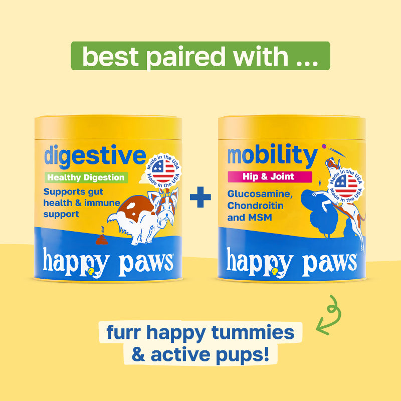 Buy Digestive & Gut Health Dog Supplement | With Enzymes and Probiotics ...