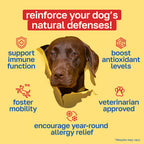 Allergy Supplement for Dogs | Daily Immune Support