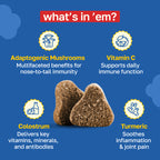 Allergy Supplement for Dogs | Daily Immune Support
