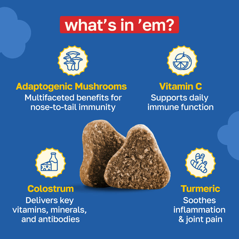 Allergy Supplement for Dogs | Daily Immune Support