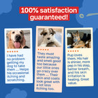 Allergy Supplement for Dogs | Daily Immune Support