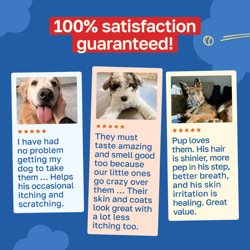 Allergy Supplement for Dogs | Daily Immune Support