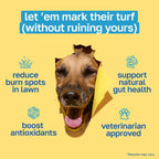 Lawn Saver Dog Supplement | With Enzymes and Probiotics