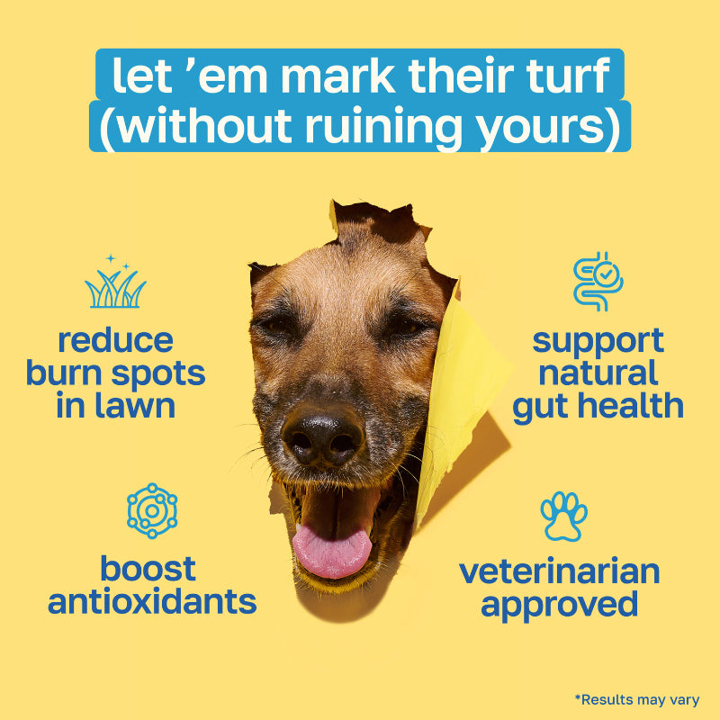 Lawn Saver Dog Supplement | With Enzymes and Probiotics