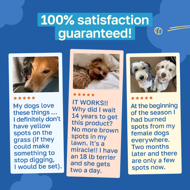 Lawn Saver Dog Supplement | With Enzymes and Probiotics