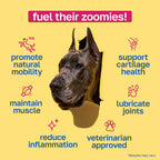 Hip and Joint Supplement for Dogs | With Glucosamine and Chondroitin :FETCH25