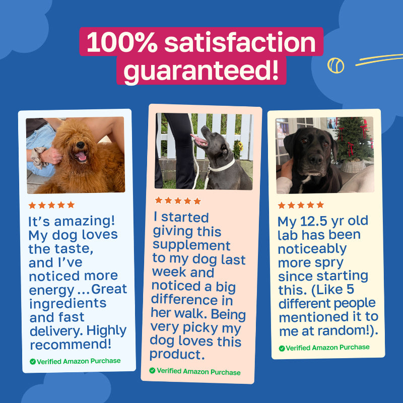 Hip and Joint Supplement for Dogs | With Glucosamine and Chondroitin :FETCH25