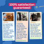 Hip and Joint Supplement for Dogs | With Glucosamine and Chondroitin :FETCH25