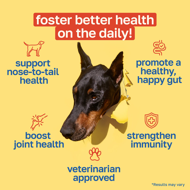 10-in-1 Multivitamin Dog Supplement | Daily Nutritional Support