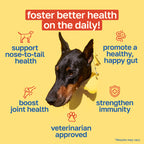 10-in-1 Multivitamin Dog Supplement | Daily Nutritional Support