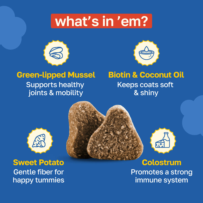 10-in-1 Multivitamin Dog Supplement | Daily Nutritional Support